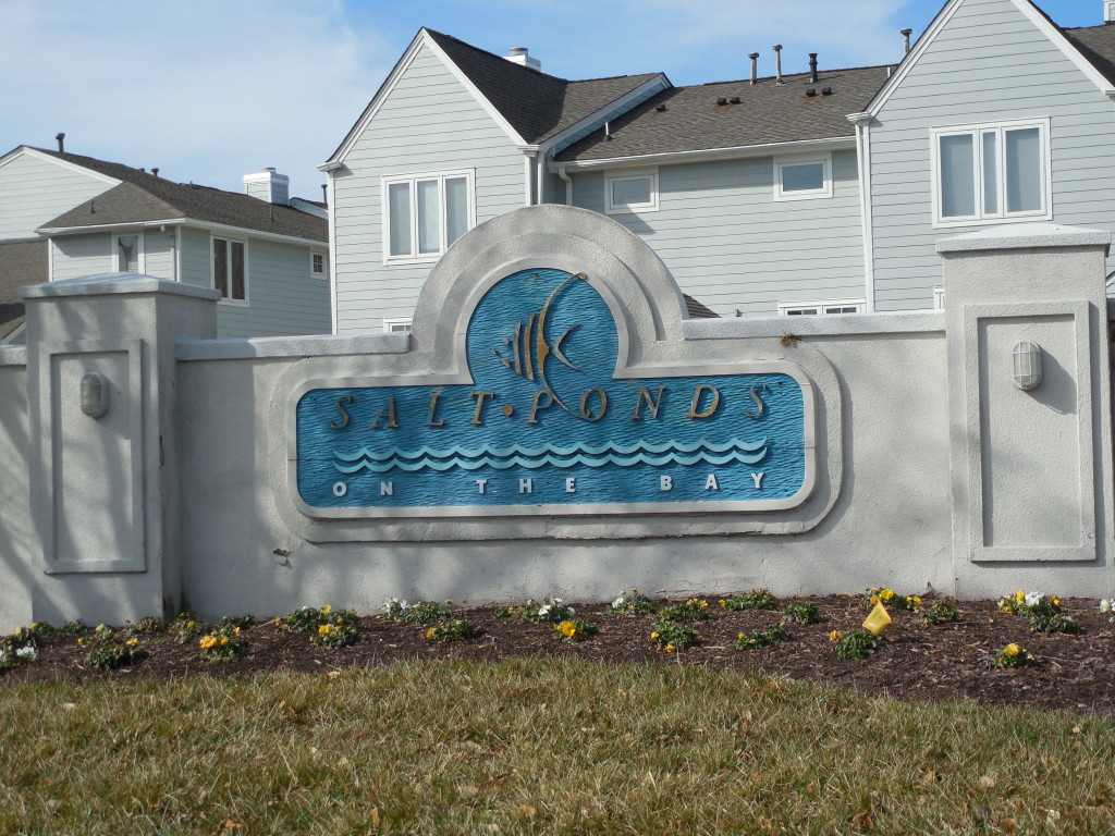 Hampton Bay II Condominium Association Community Management, Virginia