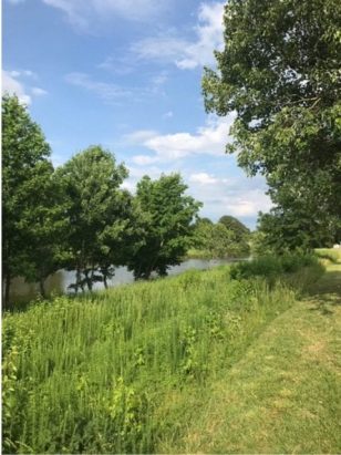 Down by the creek