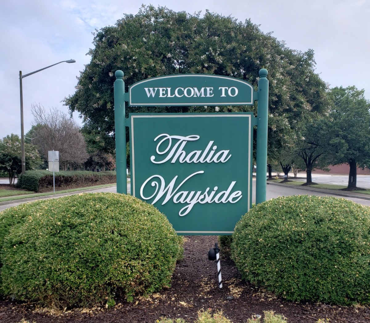 Thalia Wayside_new pic