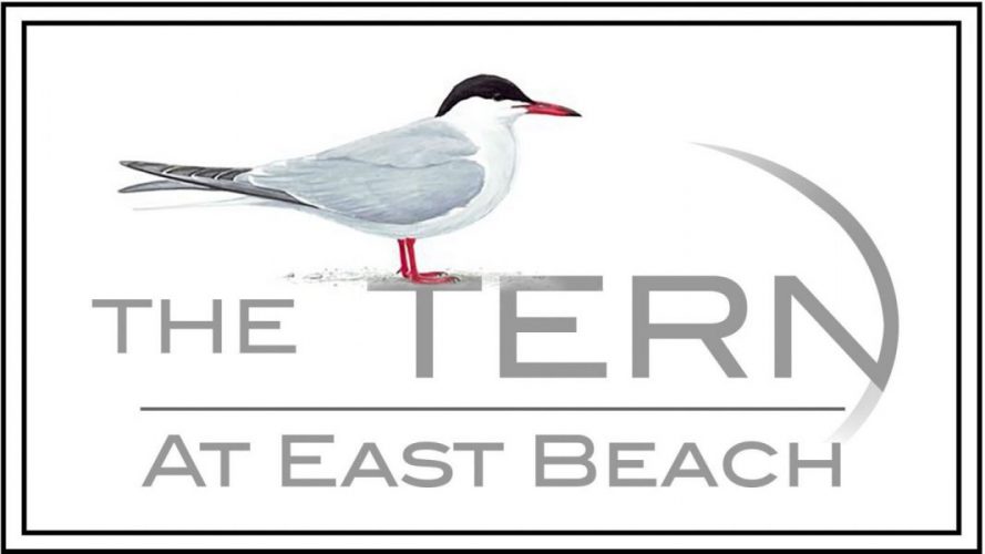 The Tern Logo